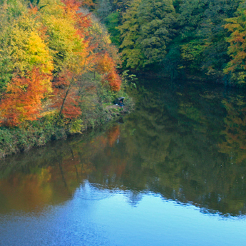 The riverbanks in autumn